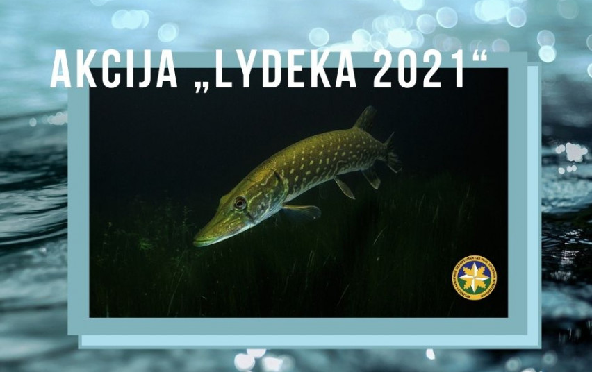 Lydeka 2021